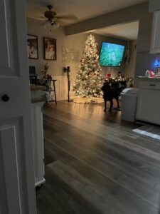 imgi_14_e557bf_36b6bc8b35be40899a471c56b77a9822~mv2