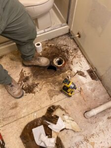 imgi_26_e557bf_b53a3eb9121e48f8aa386dfeb357d9a5~mv2