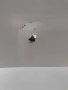 imgi_3_e557bf_c0a696f6792d48eca75d5bf68c15b001~mv2