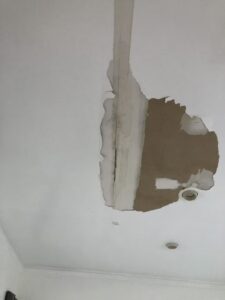 imgi_4_e557bf_b2857ac05bc84873a20185fb2d548f2e~mv2