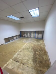 imgi_55_e557bf_87d7443d92cf426ea59fa322a4aebcb1~mv2